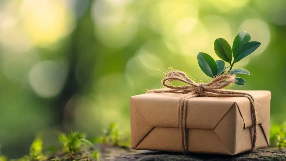 Paquet cadeau en papier kraft noué de ficelle, orné d’une jeune pousse