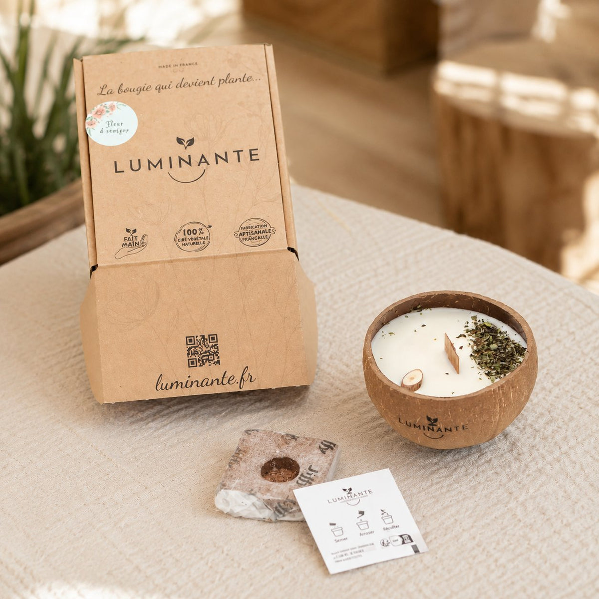 Coffret Luminante avec la bougie Bois de Oud, sa pastille de coco à semer et sa carte d'instructions