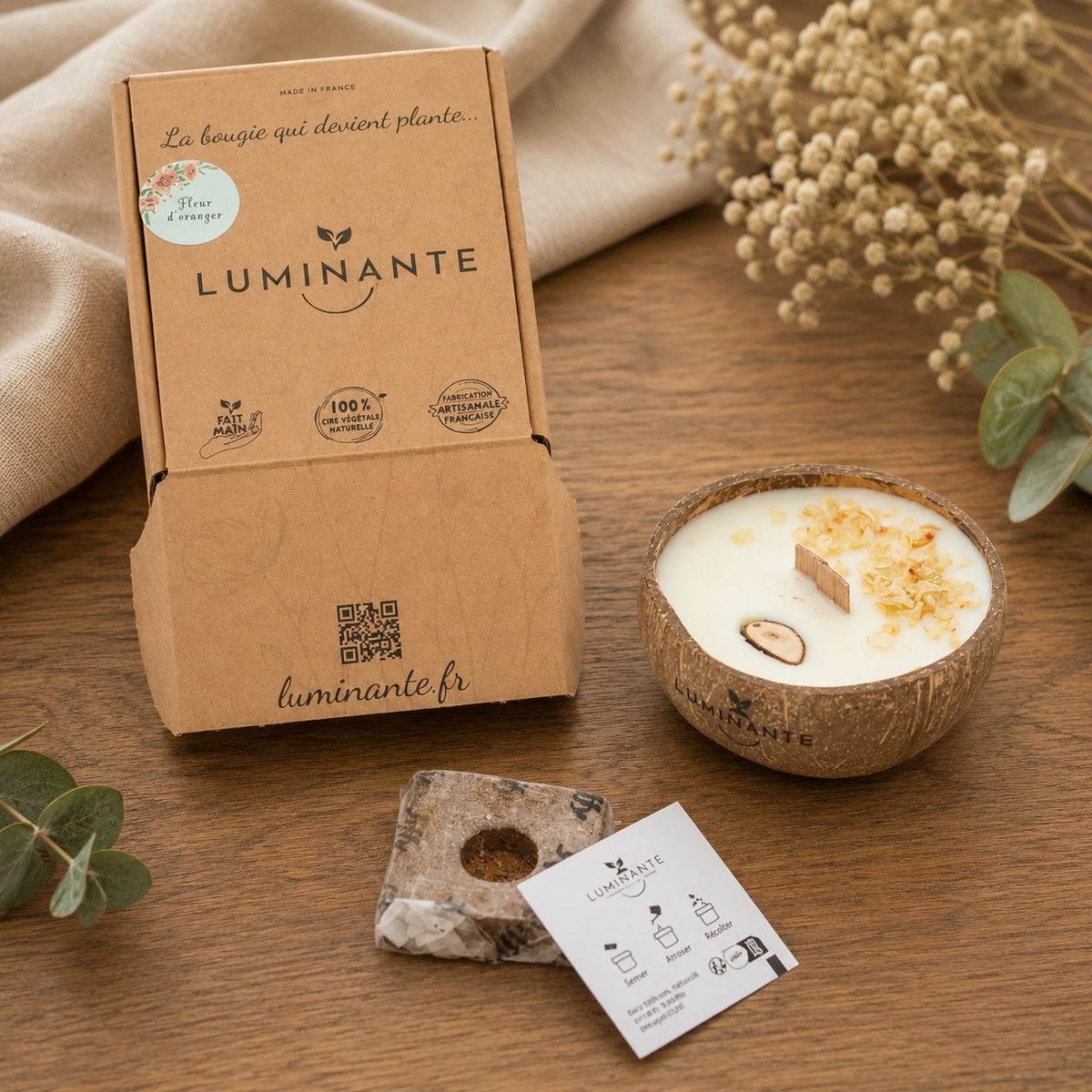 Bougie Luminante Fleur de Coton avec sa boîte kraft, son bloc de terreau et sa carte de plantation