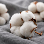 Fleur de coton posée sur un tissu gris