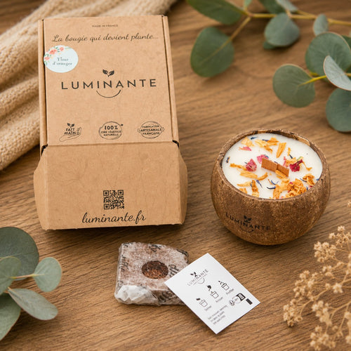 Bougie Luminante Fruits Exotiques avec sa boîte kraft, son bloc de terreau et sa carte de plantation
