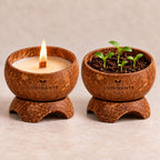 Bougie Luminante Eucalyptus Lavande, avant et après : allumée puis transformée en pot de jeunes pousses grâce au kit de plantation inclus
