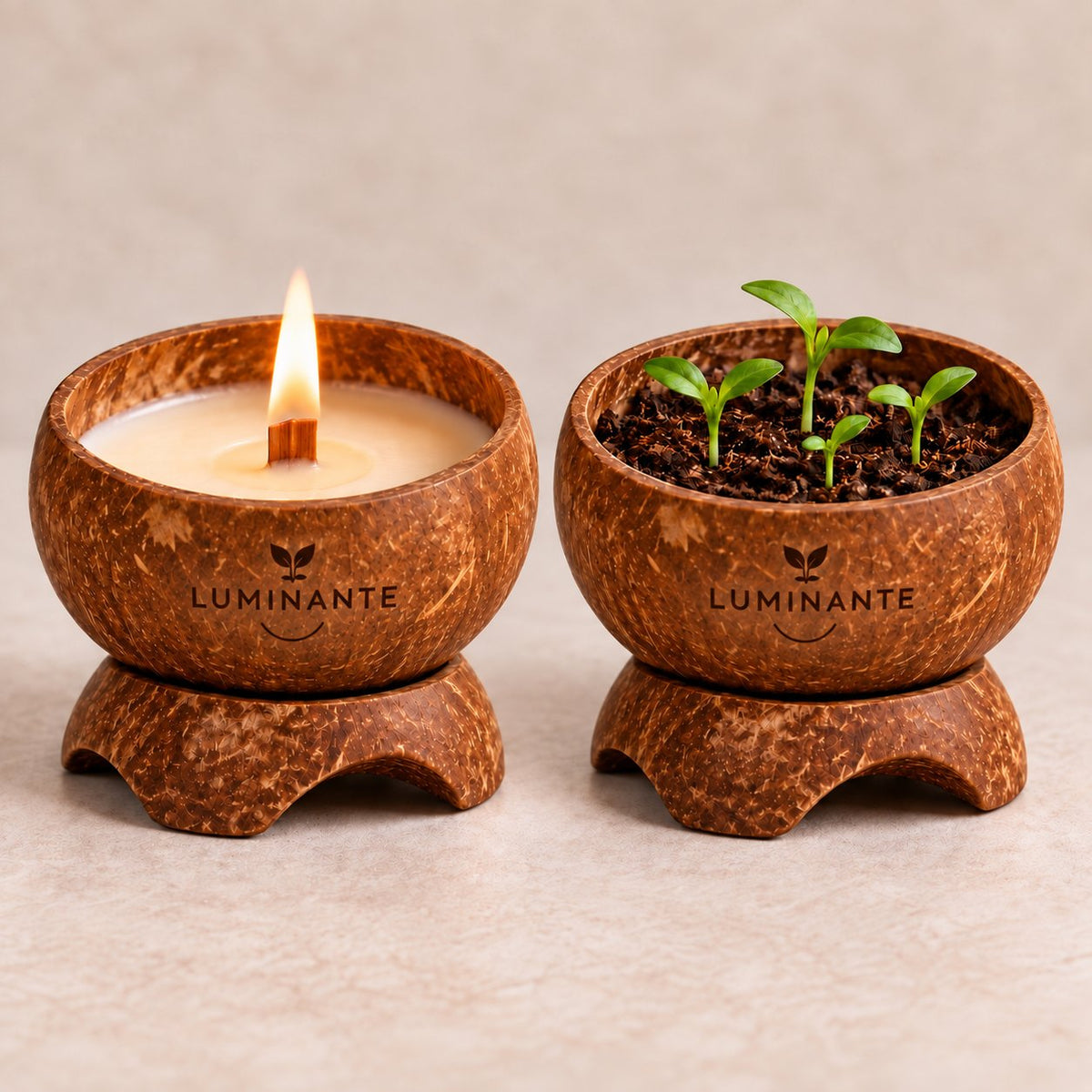 Bougie Luminante Lotus blanc coton, avant et après : allumée puis transformée en pot de jeunes pousses grâce au kit de plantation inclus