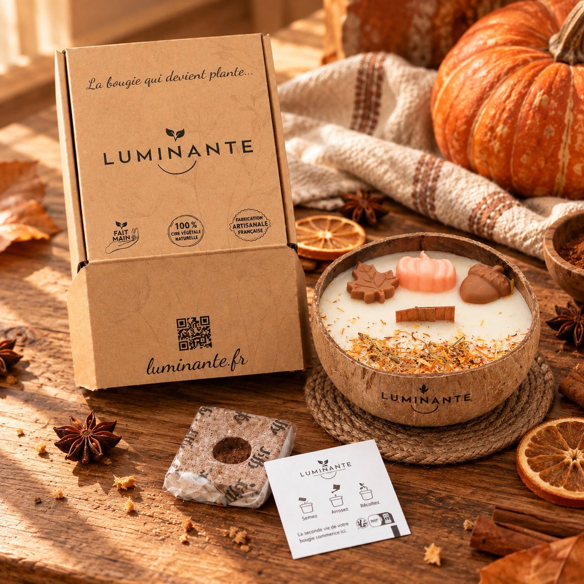 Bougie Luminante Pumpkin Spice avec sa boîte kraft, son bloc de terreau et sa carte de plantation