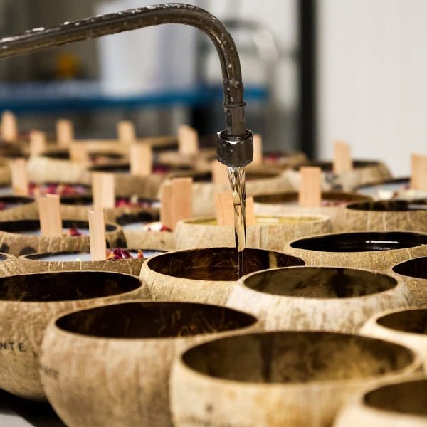 Coulée de cire dans des coques de noix de coco à l'atelier Luminante