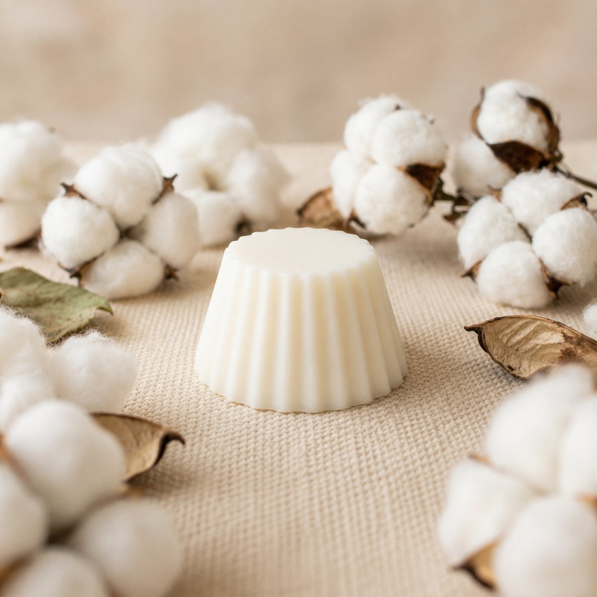 Fondant parfumé Luminante Fleur de Coton sur une toile écrue, cerné de fleurs de coton et de feuilles séchées
