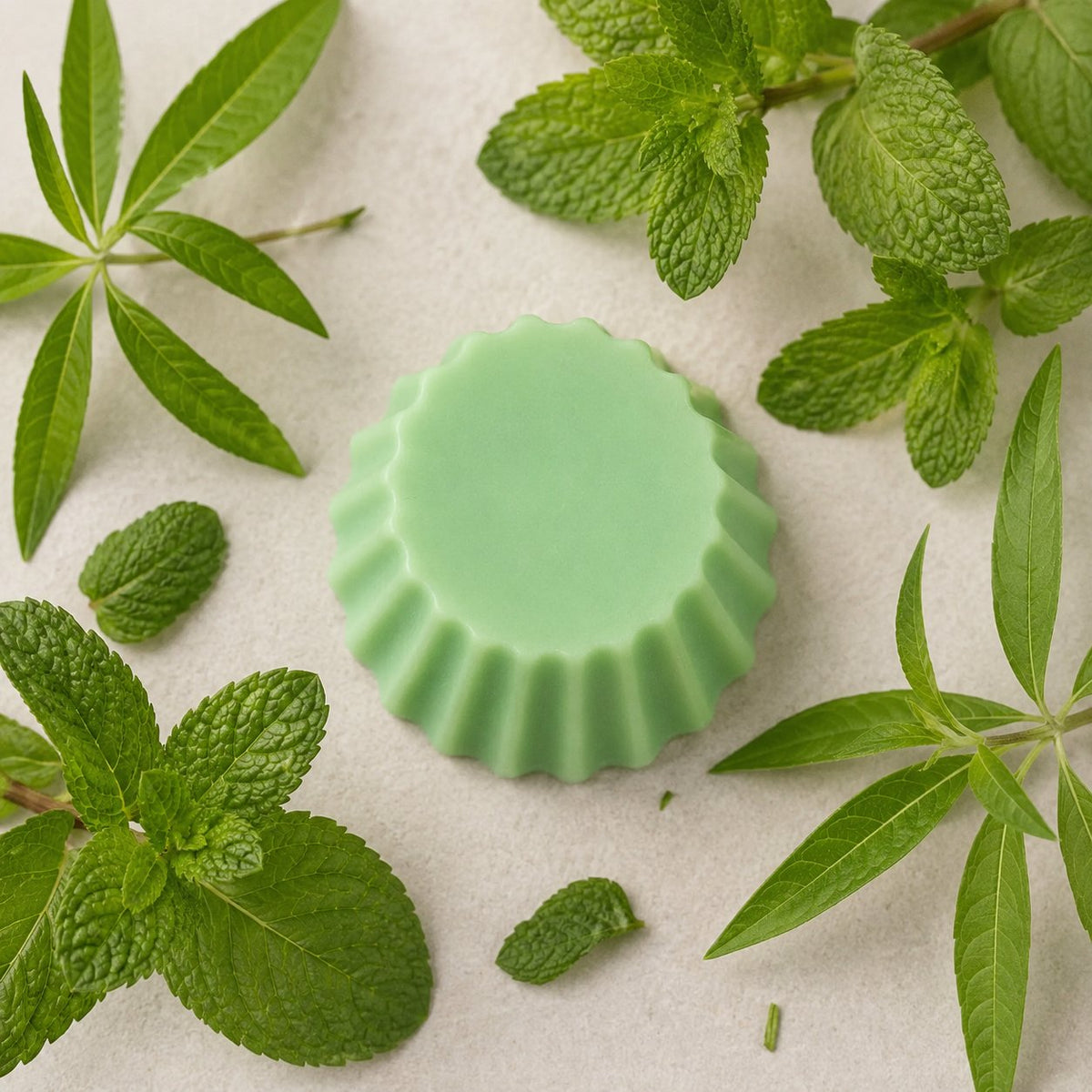 Fondant parfumé Luminante Verveine Menthe vu de dessus, entouré de branches de menthe et de verveine