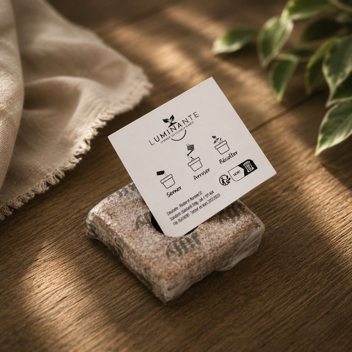 Kit de plantation Luminante posé sur une table en bois : pastille de terreau compressé sous film et carte d'instructions illustrée Semer, Arroser, Récolter
