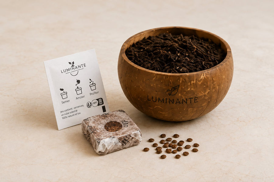 Kit de plantation Luminante : sachet de graines Semer Arroser Profiter, cube de substrat et graines, à côté du contenant rempli de terreau