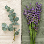 Brins de lavande et branche d'eucalyptus posés sur des serviettes
