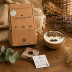 Bougie Luminante avec sa boîte kraft, son bloc de terreau et sa carte de plantation