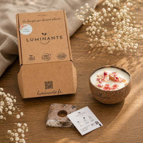Bougie Luminante Fleur de Cerisier avec sa boîte kraft, son bloc de terreau et sa carte de plantation