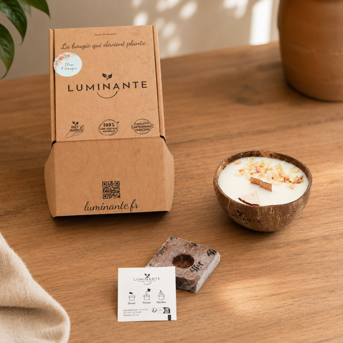 Bougie Luminante Pomme d'Amour avec sa boîte kraft, son bloc de terreau et sa carte de plantation