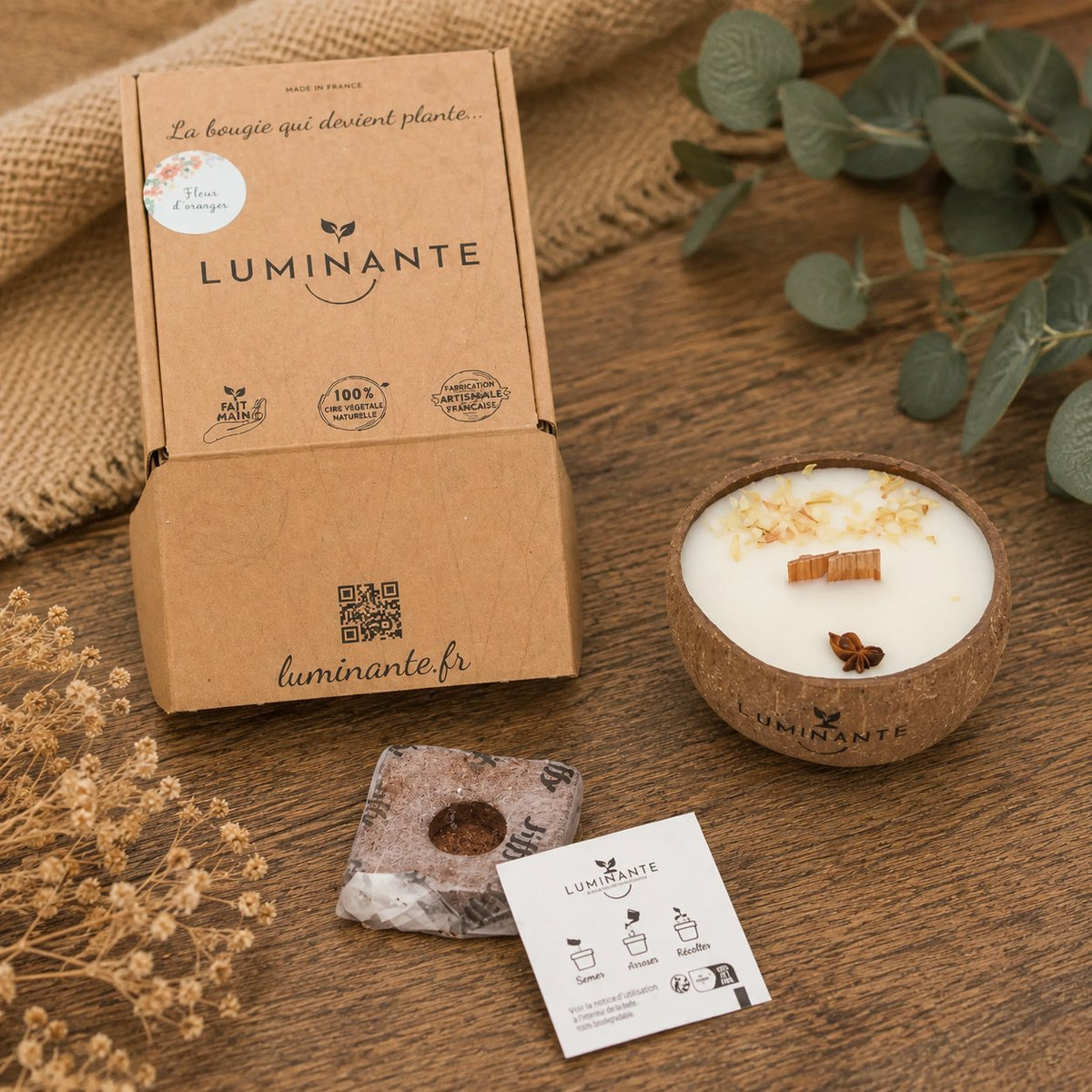 Bougie Luminante Vanille avec sa boîte kraft, son bloc de terreau et sa carte de plantation