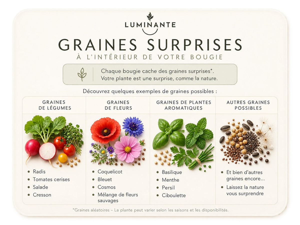 Tableau des graines surprises Luminante : graines de légumes, de fleurs, de plantes aromatiques et autres graines possibles